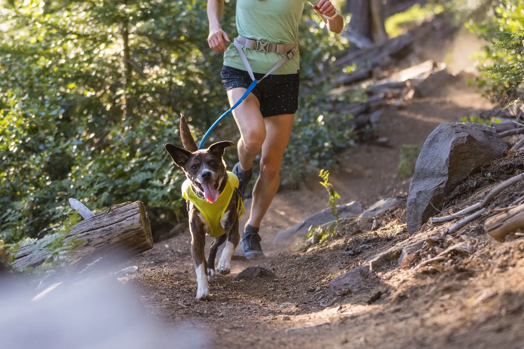 Trail Runner Belt